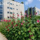 용인노인전문요양원 이미지