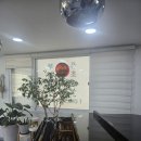 피아노이야기학원 | 관양동에서 다시 시작한 성인 피아노 이야기, 빈피아노학원 후기