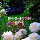 나운
