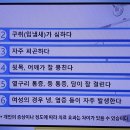 소화가 안되고더부룩한 소화불량 전주송천동 해나무 한의원에서 특효야간진료 이미지