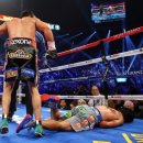 프리복싱 이미지