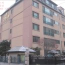 강남-224 이미지