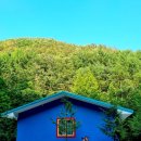 그해봄숲을걷다 | 논산여행