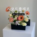 라모드플레르