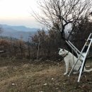 덕현목장 이미지