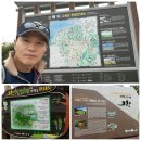 민갑식농장 | [10월우수여행후기]# 10/5 고창100일 꽃잔치&amp;담양&amp;순창^^