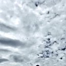 Golf Friend 이미지