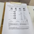 나빌레라 | 인계동 속눈썹 잘하는곳 펌포인트연장 나빌레라 후기