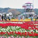 삼봉파크 이미지