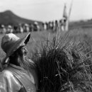 민속회관 이미지