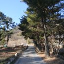 큼직한 신라 후기 부도탑 2기를 간직한 울주 영축산 망해사 (망해사지 승탑)