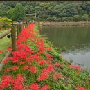 9월19일 영광 물무산,용천사 이미지