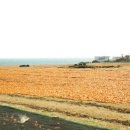 장관목장 이미지