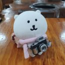 일송막국수，닭갈비 이미지