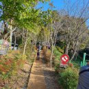 함박산(458m),천마산(418.5m),달음산(587m), 월음산(425m) /부산광역시 기장군 이미지