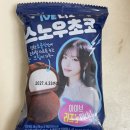 페이정보 | gs25 아이브리즈픽 스노우초코 내돈내산 후기 | gs페이 정보