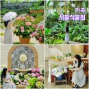소담꽃향기 | 서울 가볼만한곳 수국 명소 마곡 서울식물원 주차, 온실