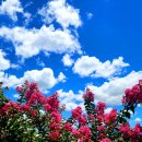 뭉게구름 이미지