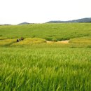 학원농장민박 이미지