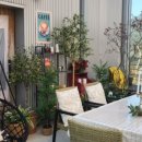 스테이외송 이미지