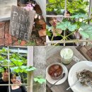 롯데리아 부산전포점 | 전포디저트카페 전포감성카페 추천 팟오브부산 방문후기