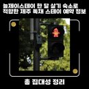 늘제이스테이