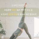 요가초급반 이미지