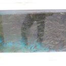 대천민물매운탕 이미지