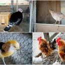 남당농장 이미지