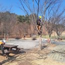 안성맞춤캠핑장 이미지