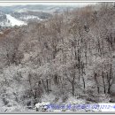 흥덕1로 48번길 이미지