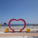 청호 갯배 이미지