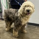 동림1리경로당 이미지