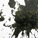 에이치gallery 이미지