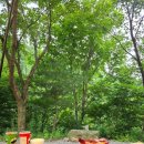 인제연가리오토캠핑장펜션 이미지