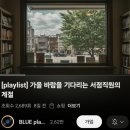 새씨앗약국 | 2025. 10월 나머지 절반의 기록 (10/16 - 10/31)