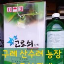 김시현농장 네이버블로그