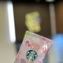 스프링오피스 | ☕ 스타벅스 스프링 시즌 블렌드 후기, 시청역공유오피스자유석 이용 고객 이야기