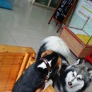 다란동물병원 이미지