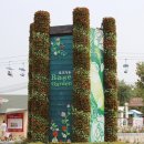 서울대공원 장미축제 前(1)─송암 황지상 이미지