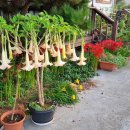 사랑지기 이미지