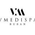 브이메디스파(Vmedispa)