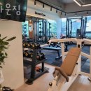 브라운 짐 이미지