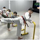 MTA태권도장 | 유아체육 아이들의 성장을 돕는 MTA태권도장 후기