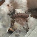 어려울 때는 덮어놓고 생각하는 것도 방법인데