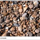 송*복 - 안양시 만안구 | 송*복