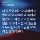 삼성미래여성병원 자연분만 출산 후기 | 무통 없이 3.7kg 둘째 출산