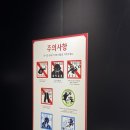 [홍대/연남] 하가렌노 렌킨주크시...가 아니라 강철의 연금술사 전시 후기