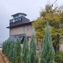 카페바트 이미지