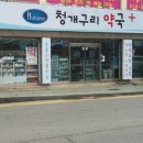 청개구리약국 네이버블로그